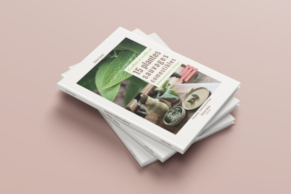 15Plantes-Micea