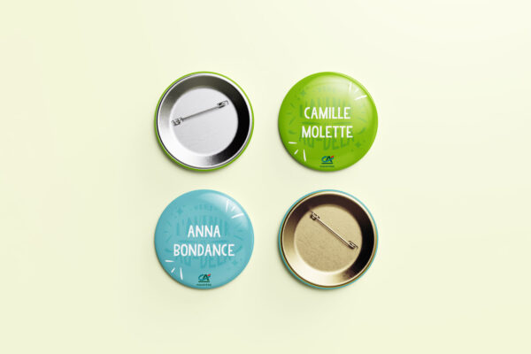 CA29-prog-alternant-badges