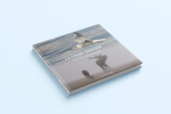 FauneSauvage-1