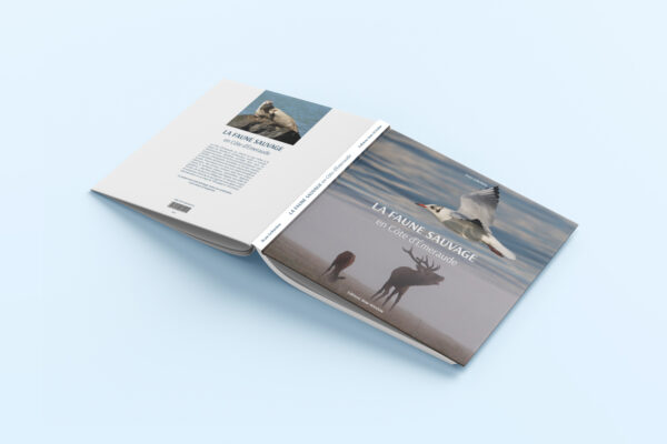 FauneSauvage-2