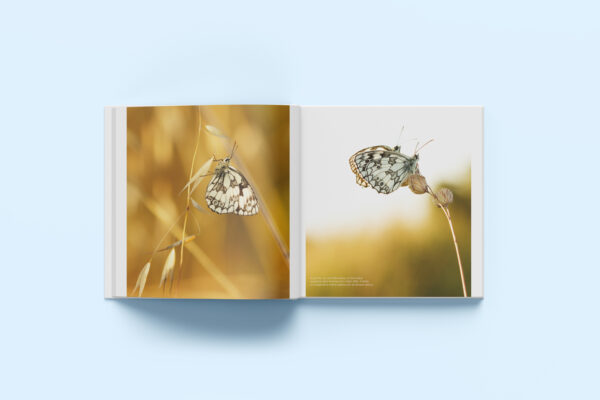 FauneSauvage-5