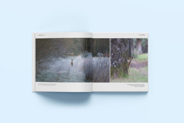 FauneSauvage-7